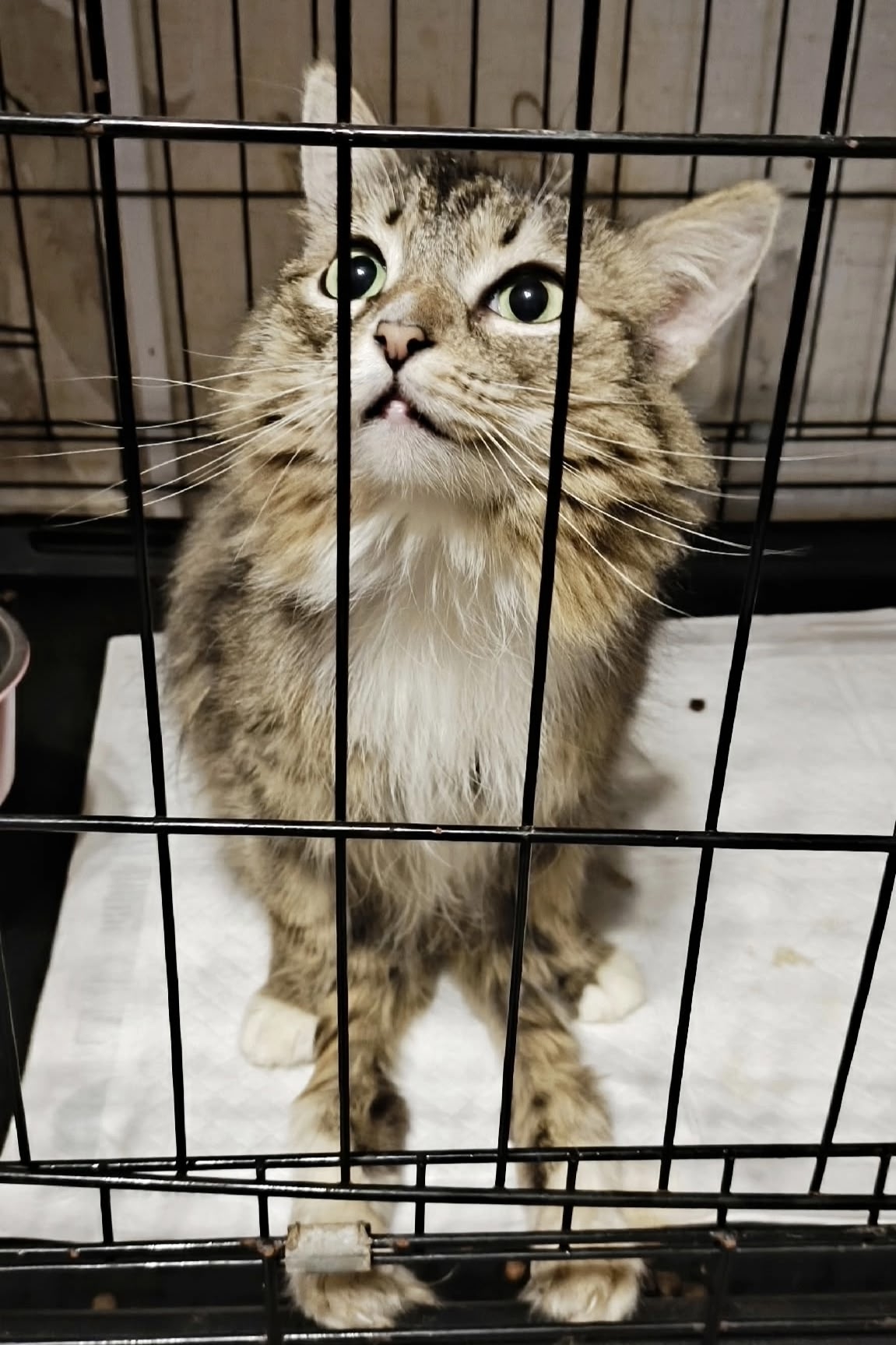 Сбор встал😔😔😔