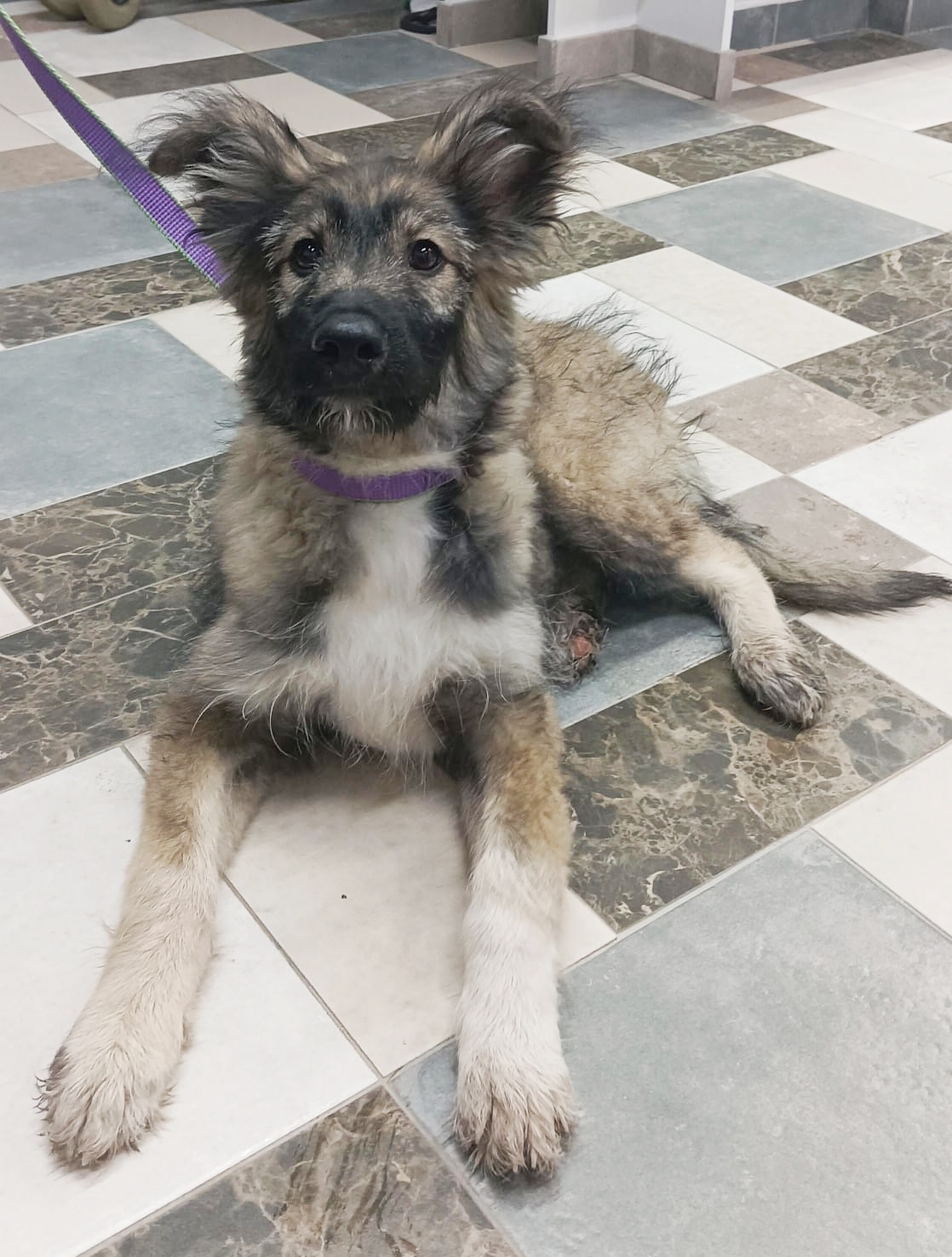 Новосибирск