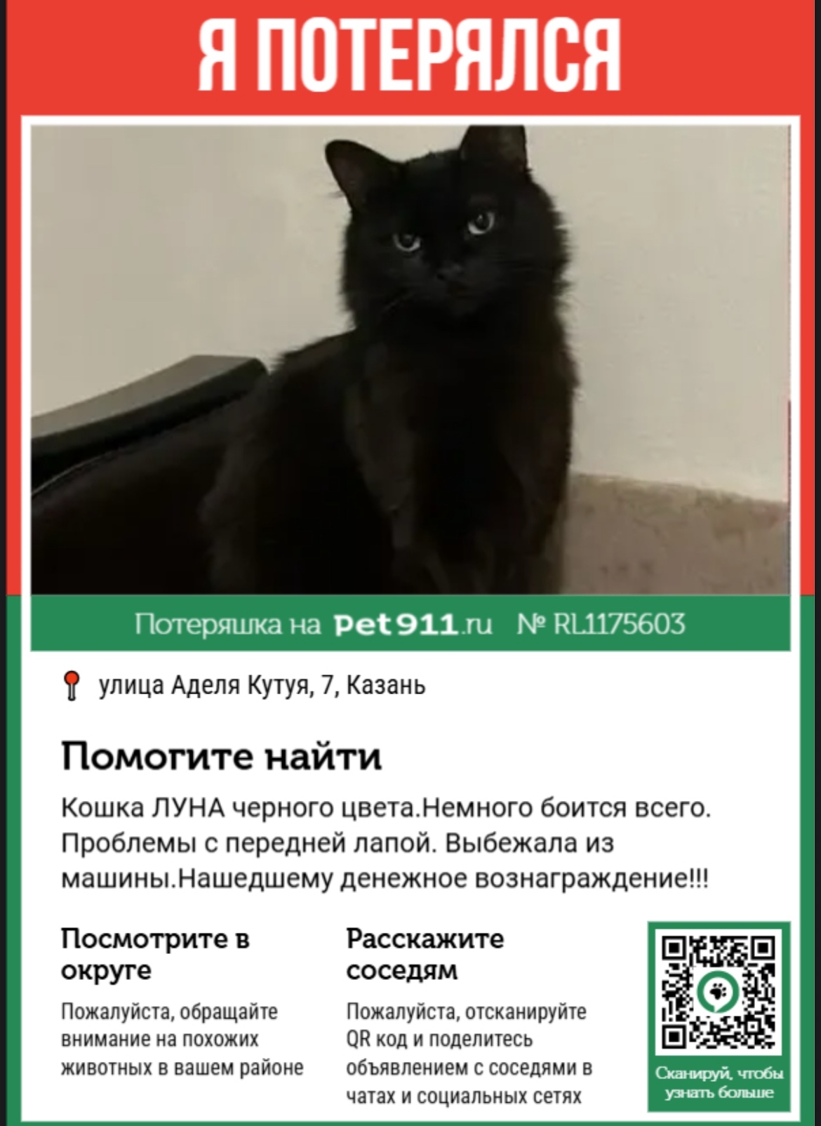 Объявление о питомце в Других городах — фото объявления