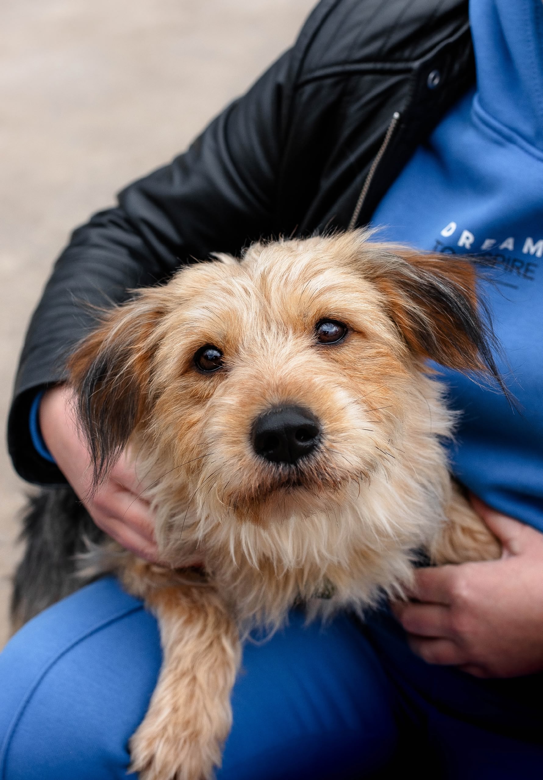 Мальчишка Пьер ожидает свою любящую семью 🧡
