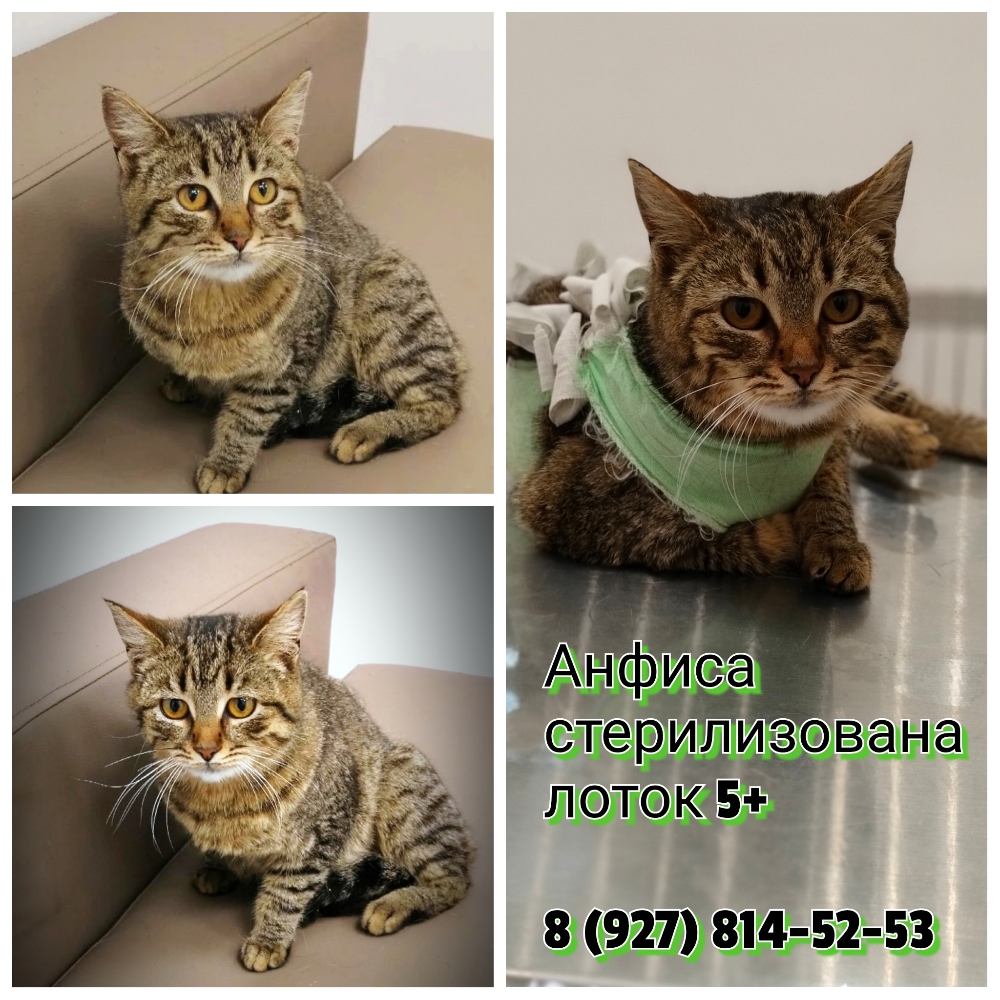 [id542747334|Лариса Евгеньевна]