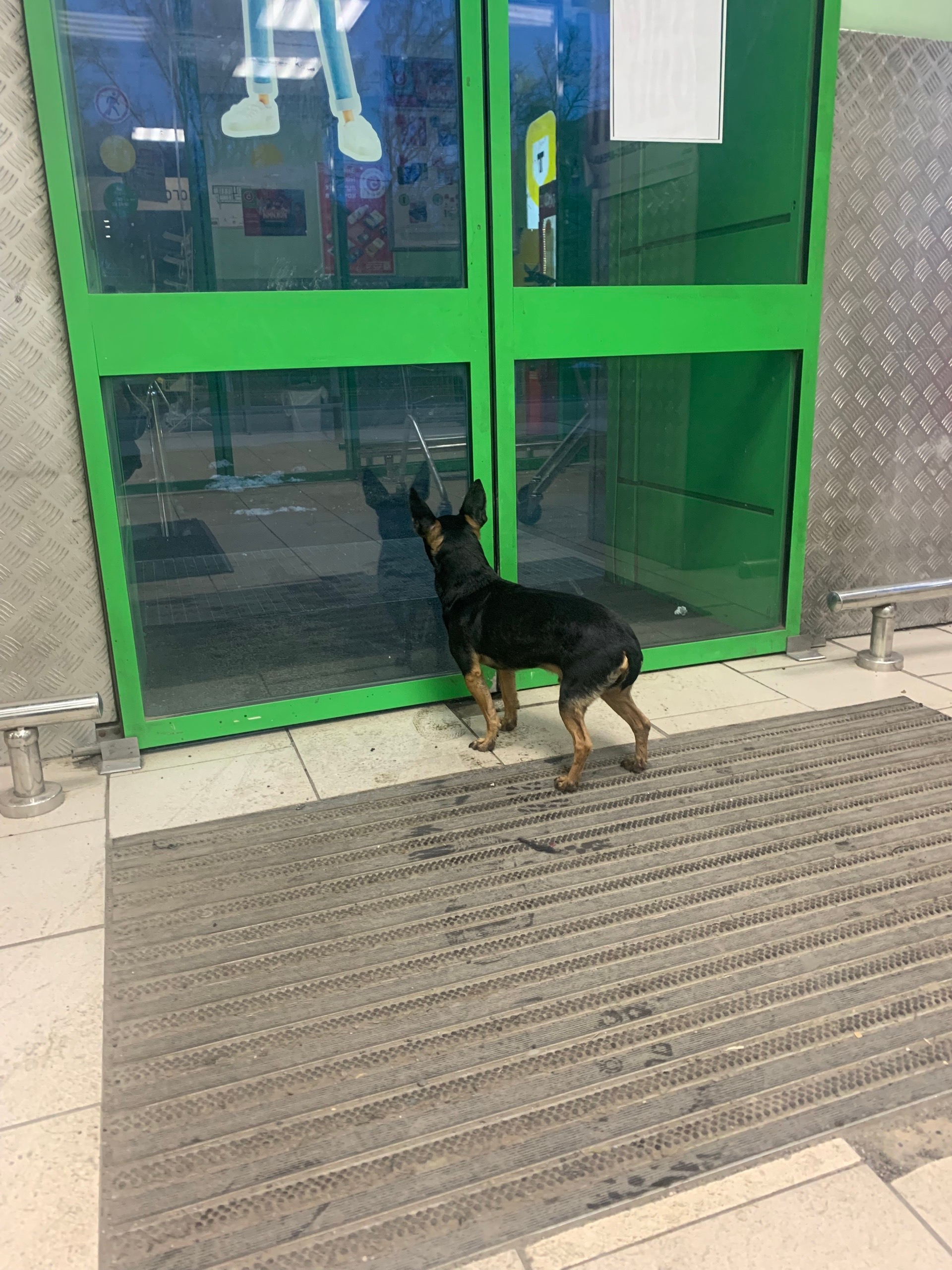 20.04.26 20:50 магазин пятерочка 40 лет октября 21. Выбежал, убежал в сторону дк.