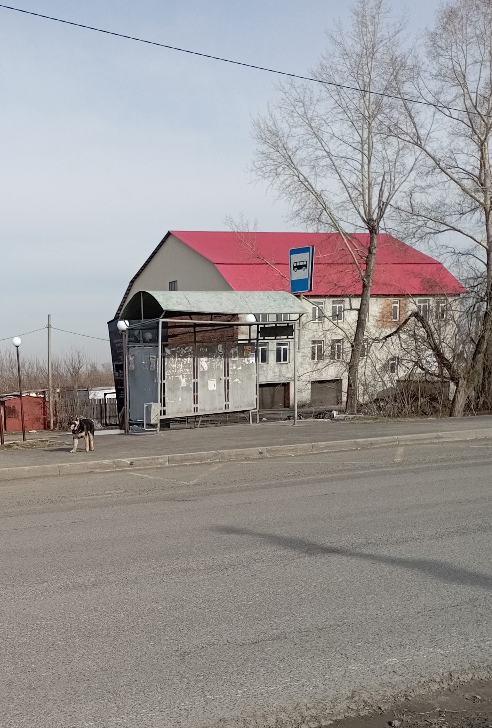 Объявление о питомце в Другие города