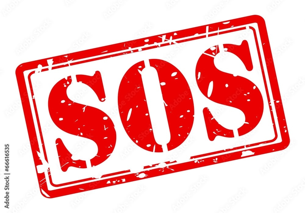 Пропала собака в Другие города