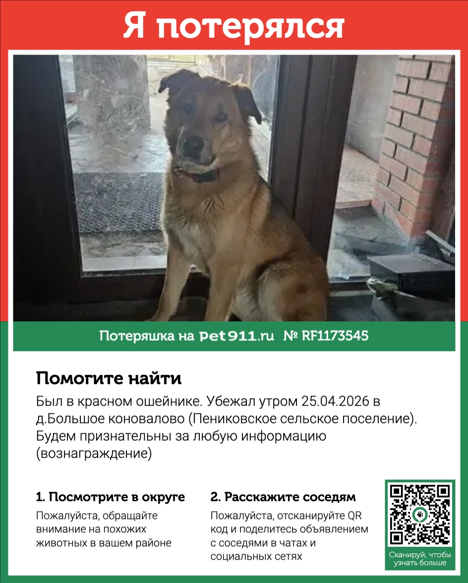 Найдена собака в Гатчине — фото объявления