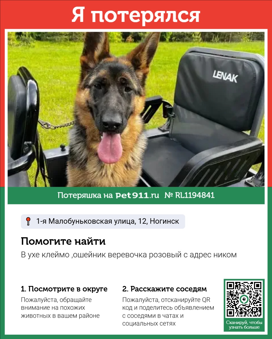 Найденная собака в Ейске Найдена собака в Ейске — фото объявления