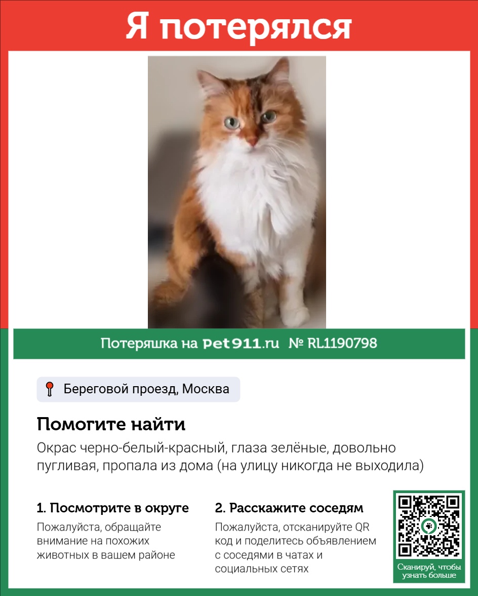 Найденная кошка в Ессентуках Найдена кошка в Ессентуках — фото объявления
