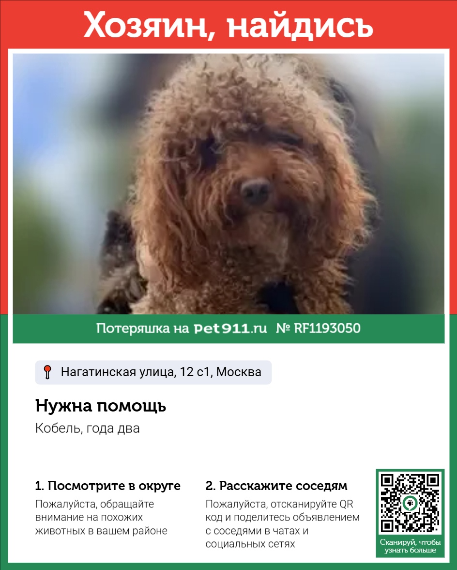 Найденная собака в Ессентуках Найдена собака в Ессентуках — фото объявления