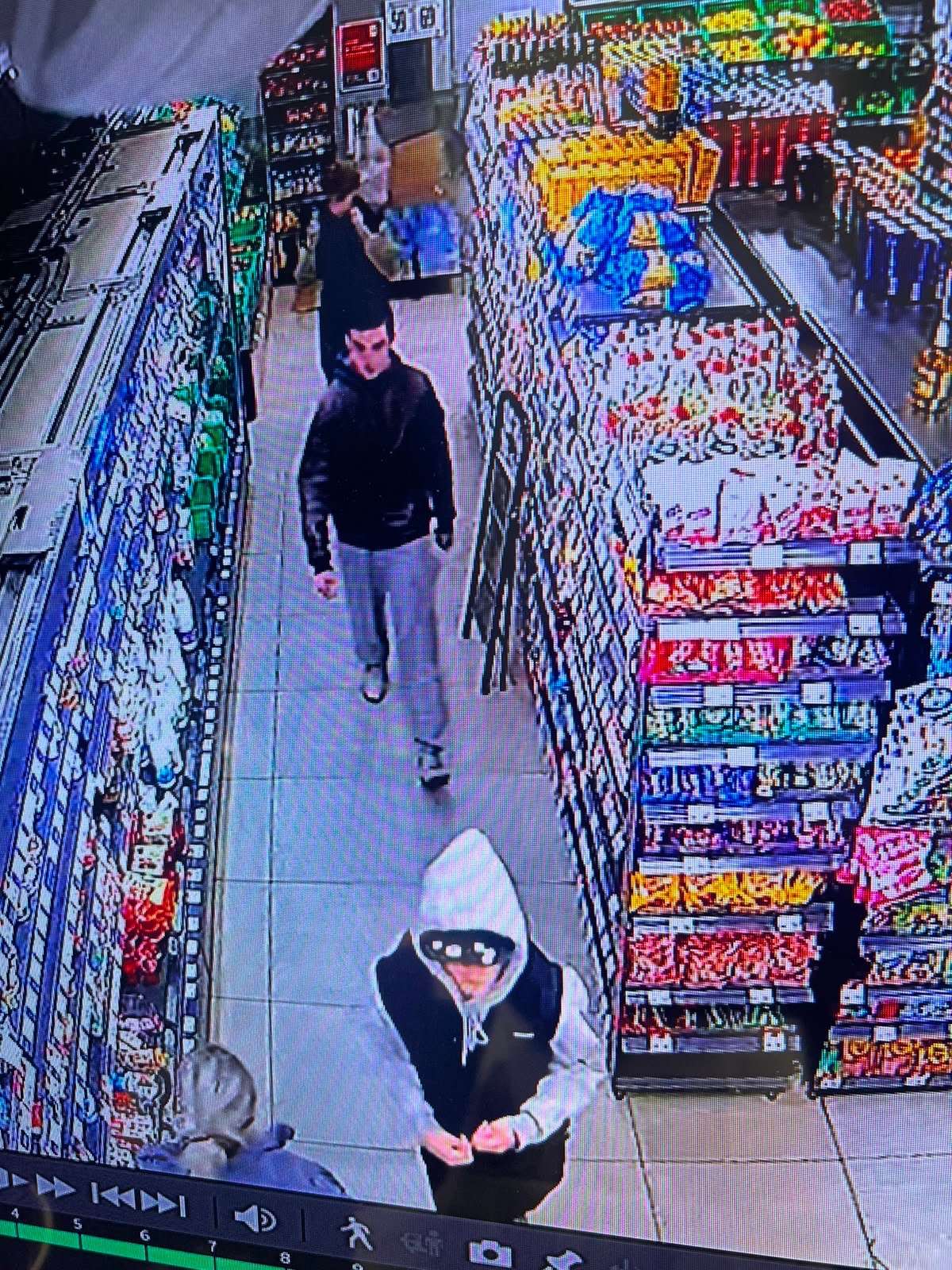 Объявление о питомце в Домодедове — фото объявления