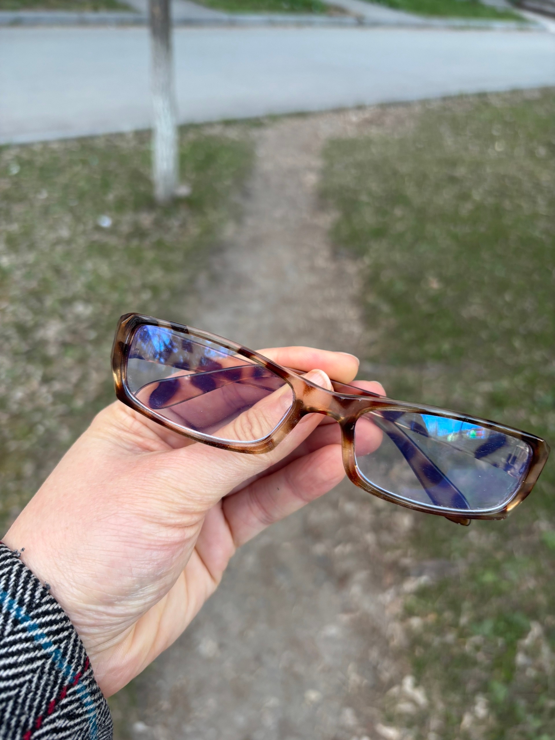 Объявление о питомце в Миассе — фото объявления