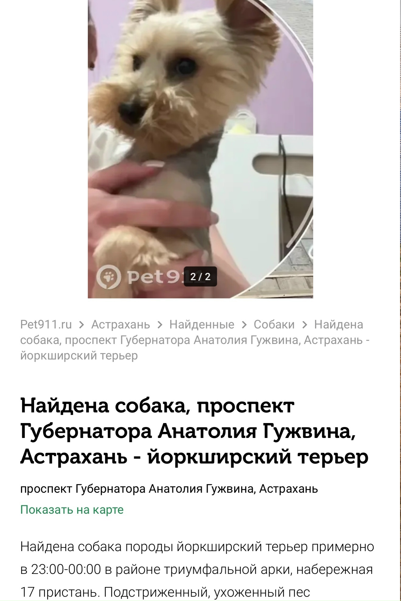 Найдена собака в Астрахани — фото объявления