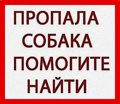Найдена собака в Калуге — фото объявления