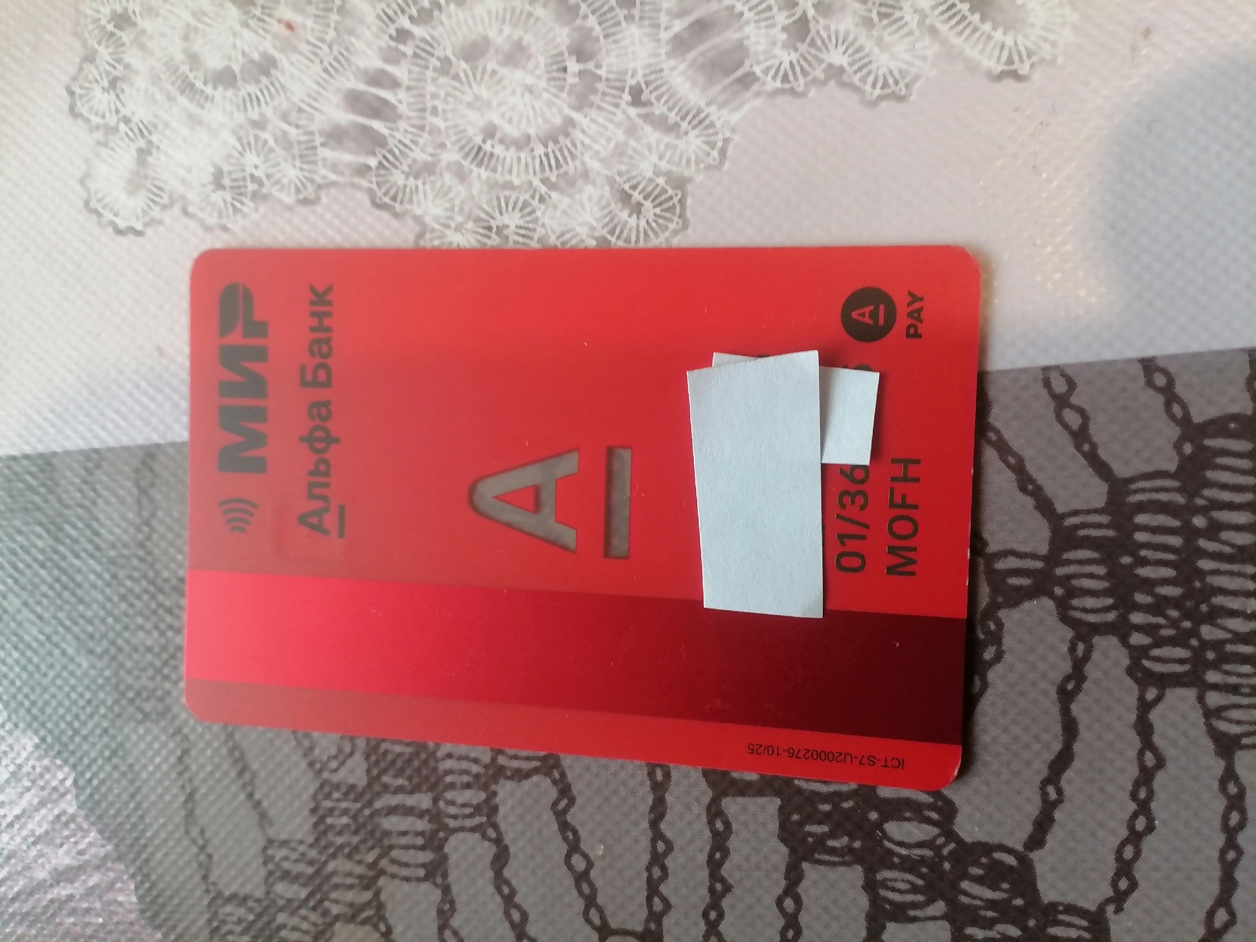 Объявление о питомце в Нижнем Тагиле — фото объявления