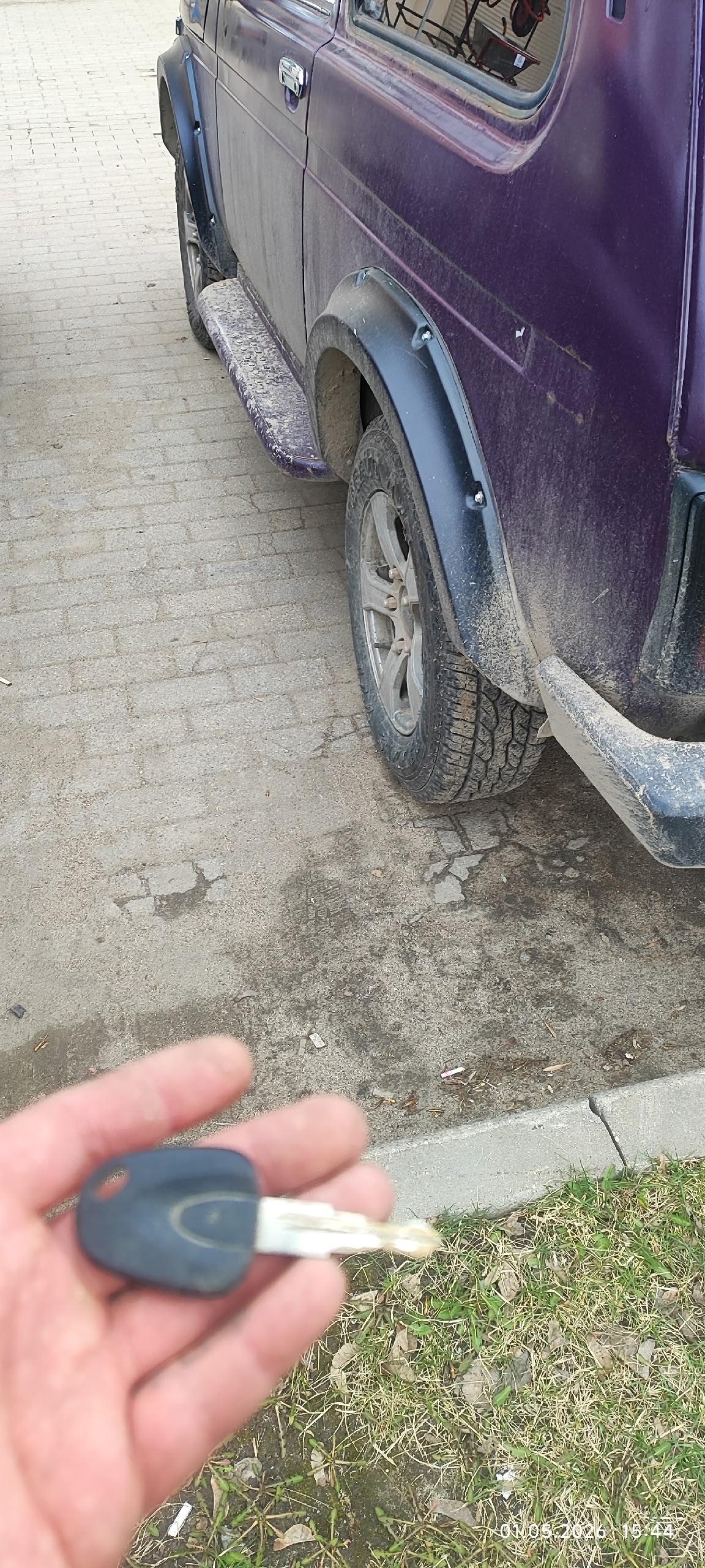 Объявление о питомце в Череповце — фото объявления