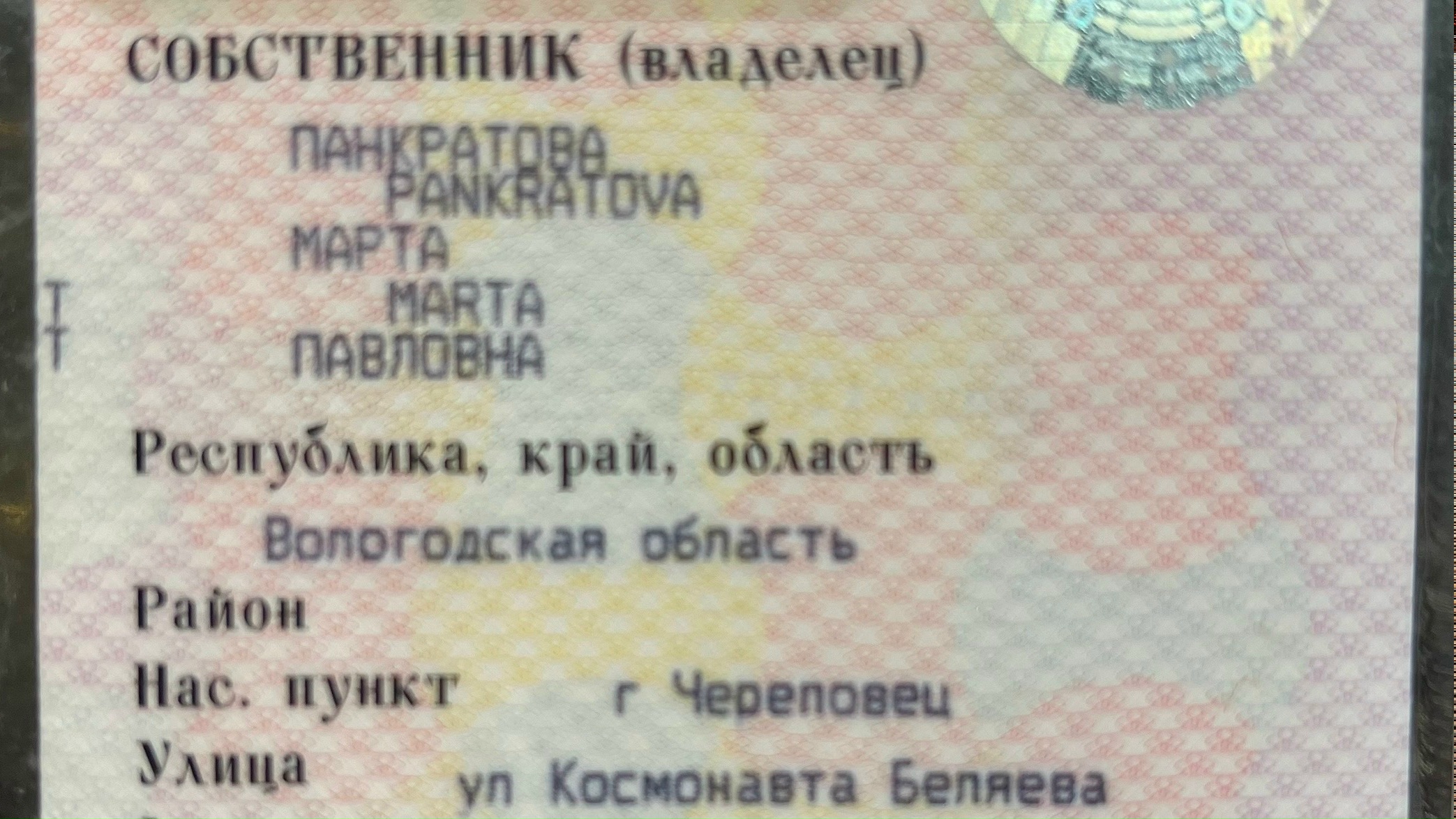 Объявление о питомце в Череповце — фото объявления