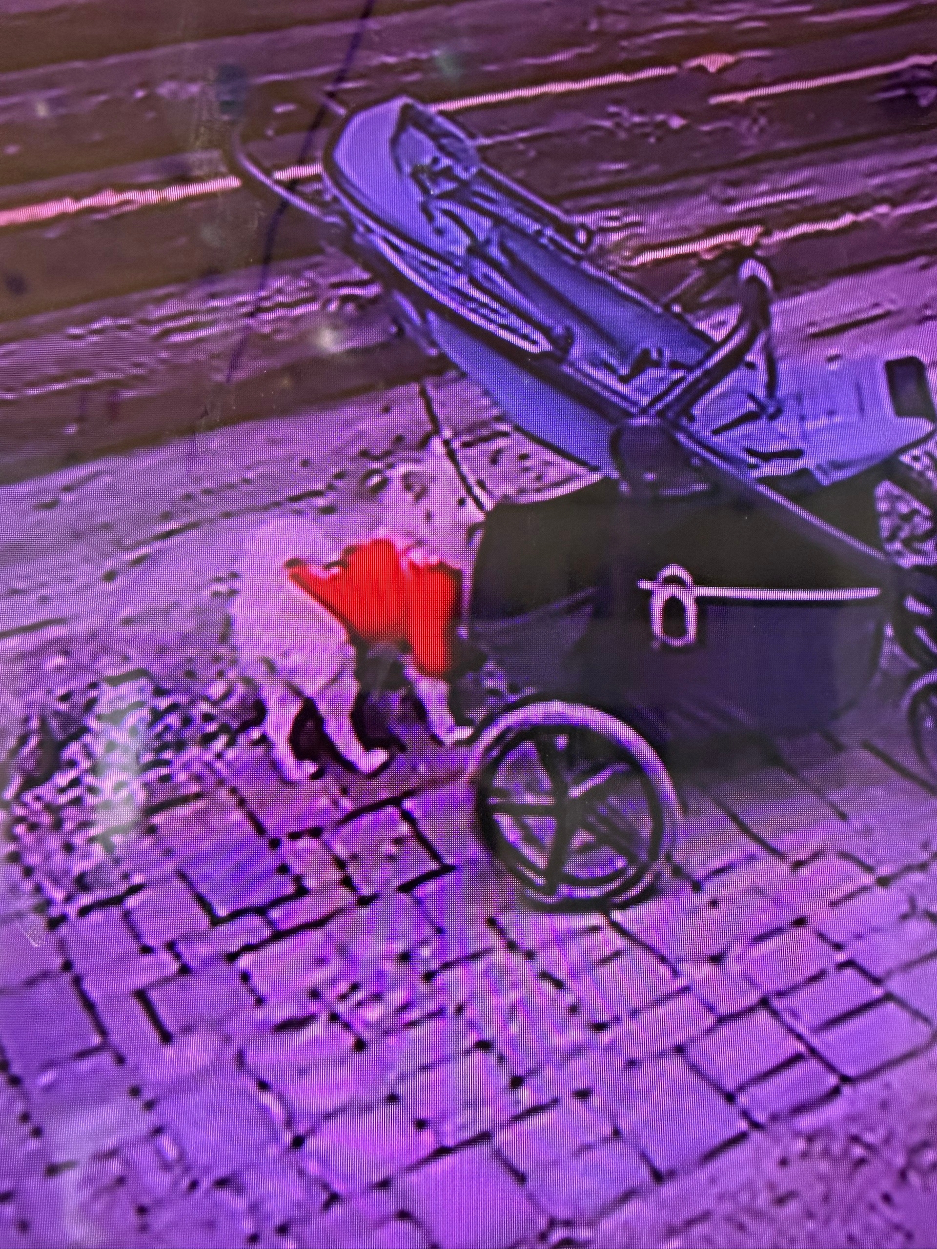 Пропала собака в Кургане — фото объявления