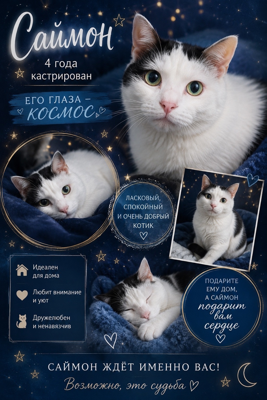 Объявление о питомце в Кургане — фото объявления