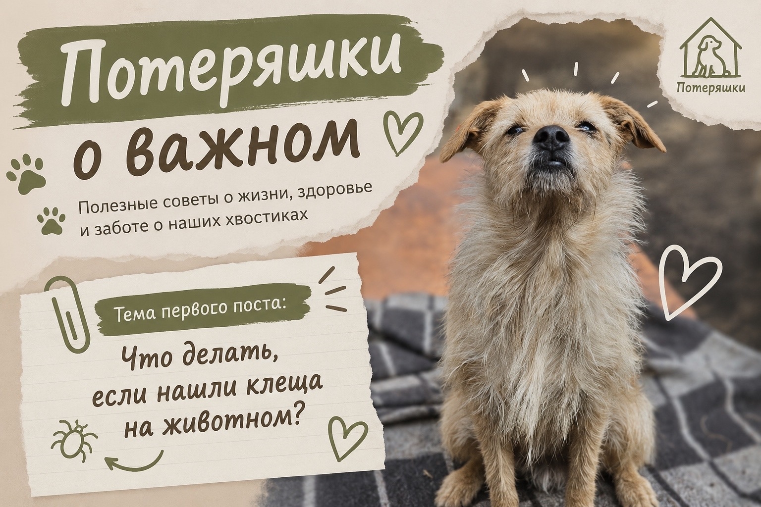 Найдена собака в Кургане — фото объявления