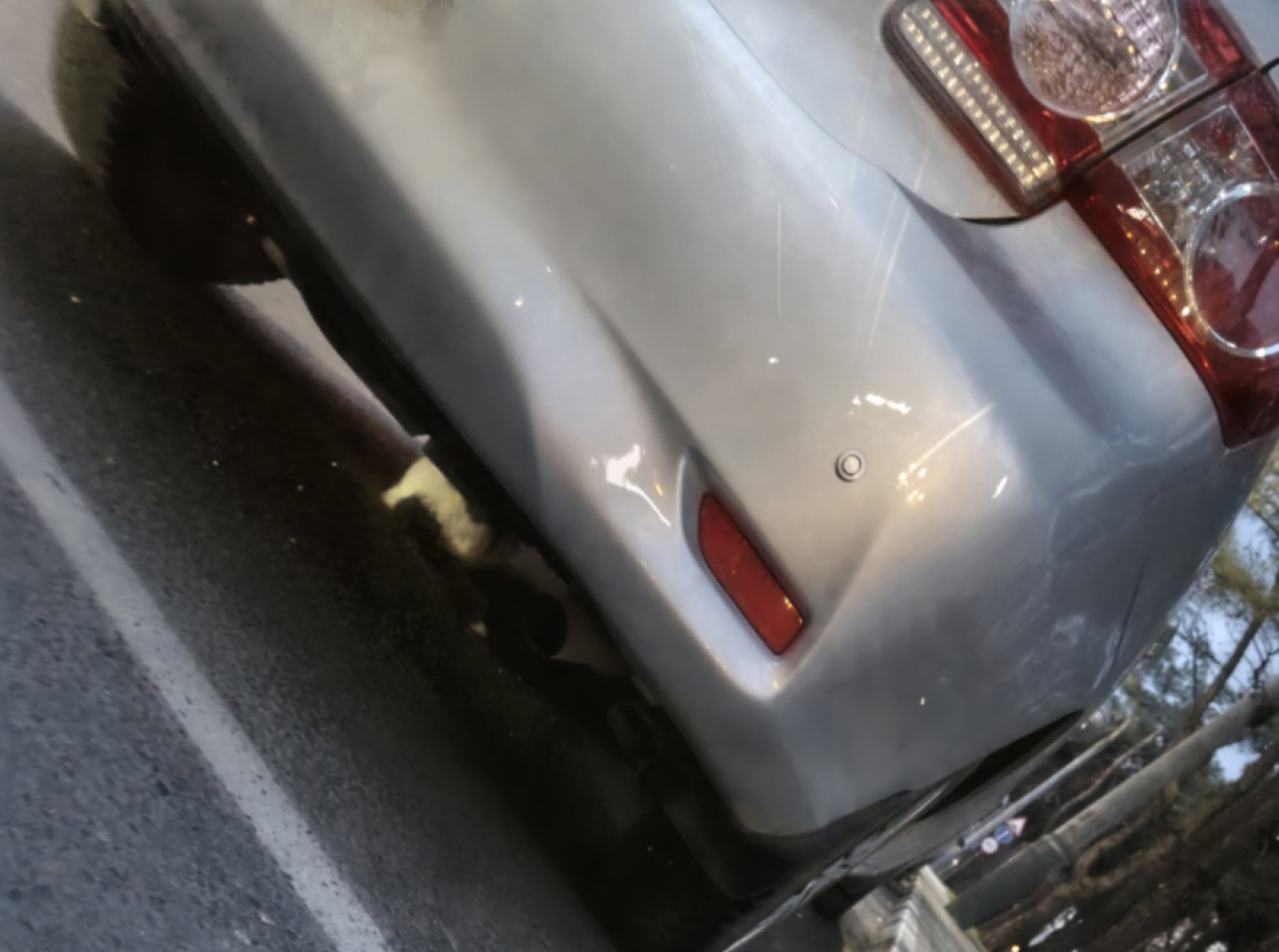 Пропала кошка в Новороссийске — фото объявления