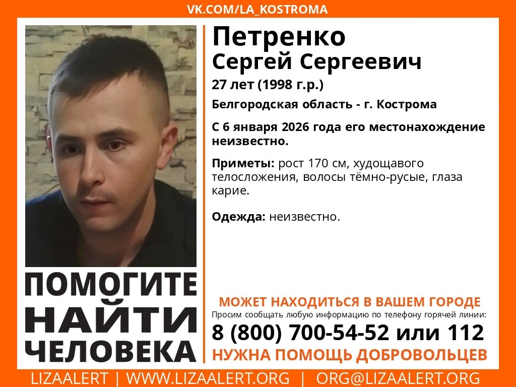 Объявление о питомце в Костроме — фото объявления