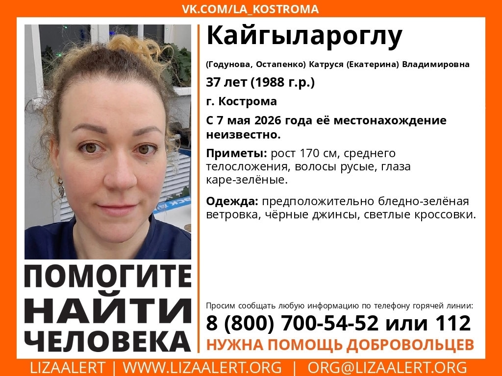 Объявление о питомце в Костроме — фото объявления