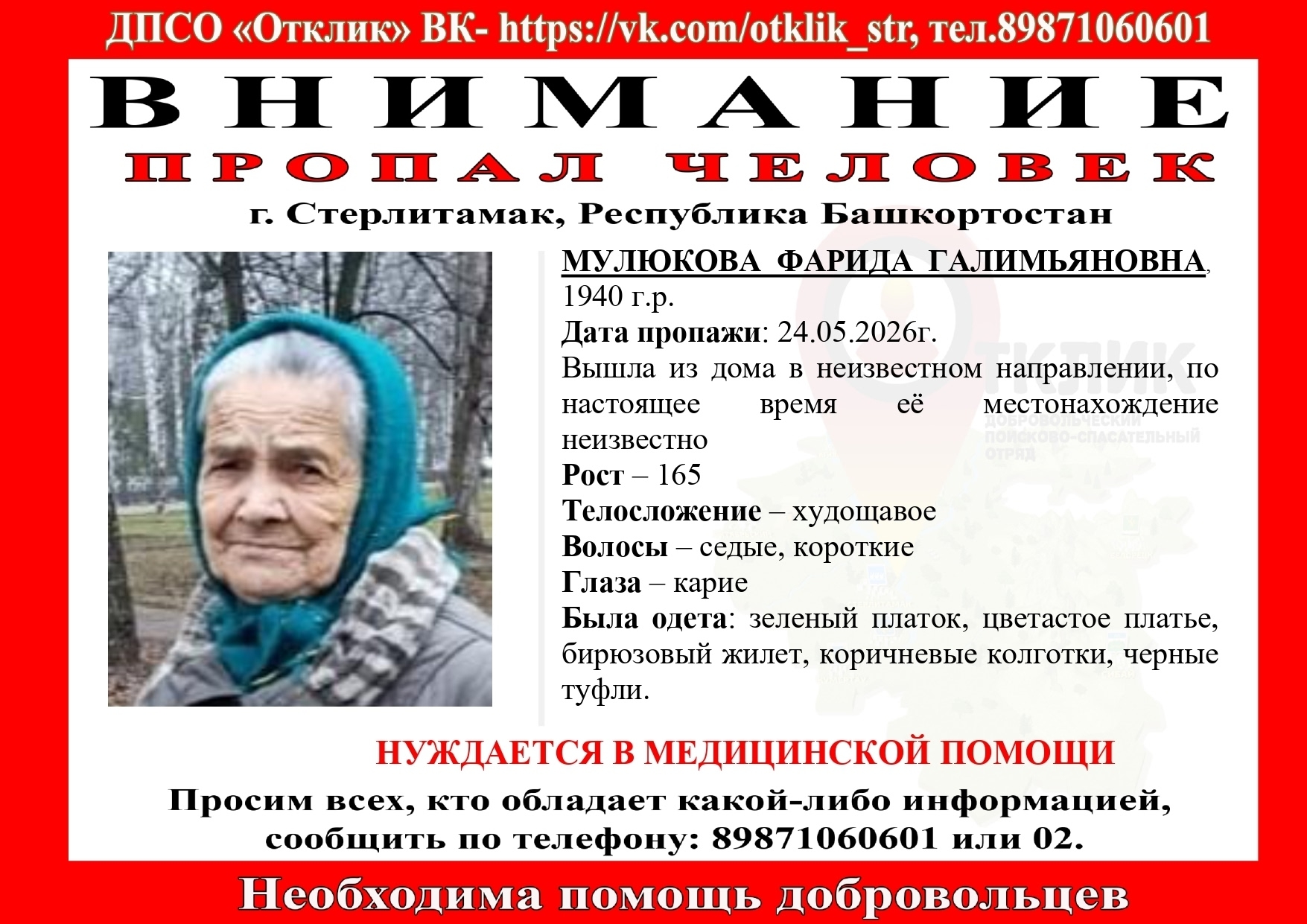 Объявление о питомце в Стерлитамаке — фото объявления