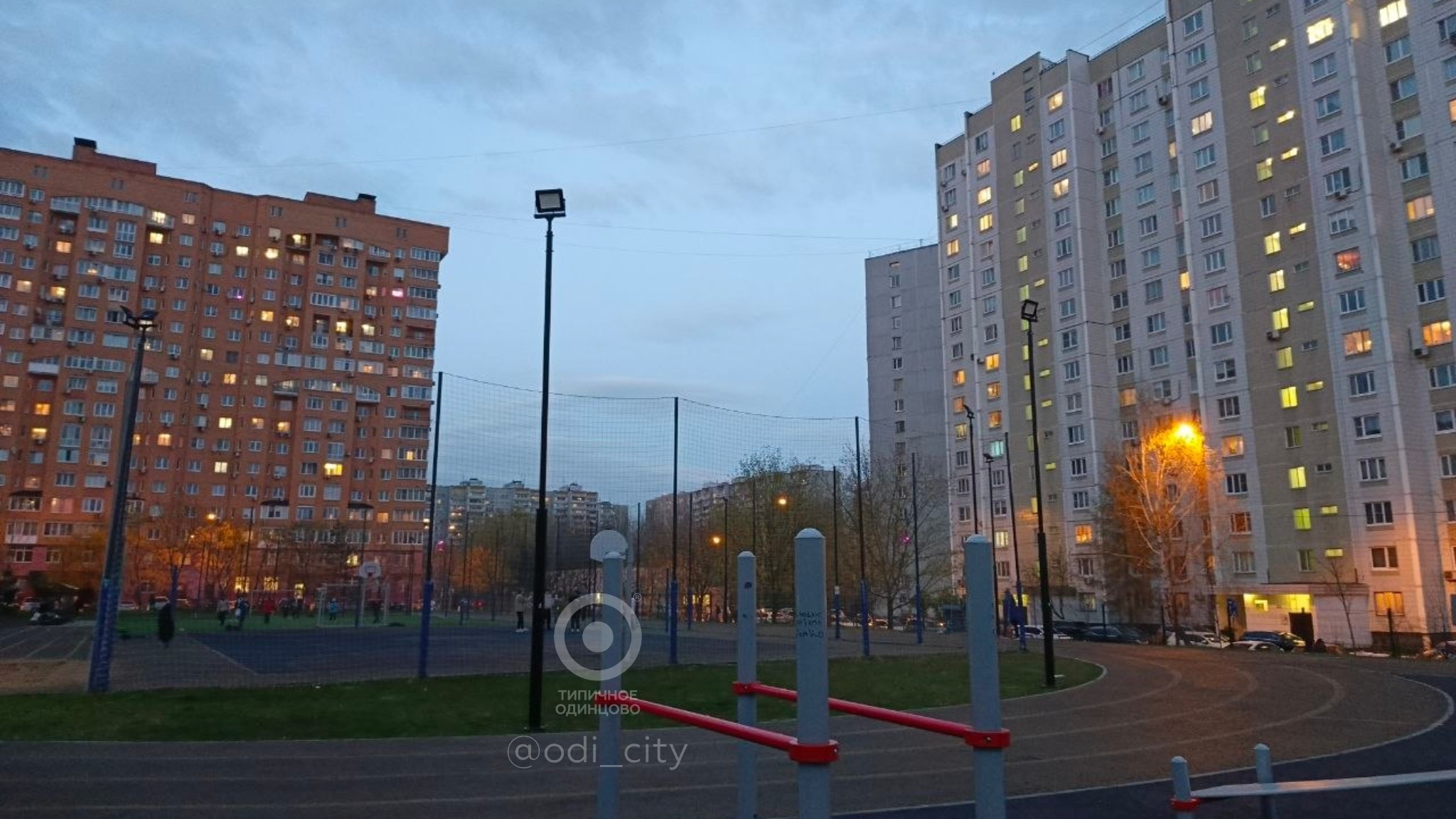 Найдена собака в Одинцове — фото объявления