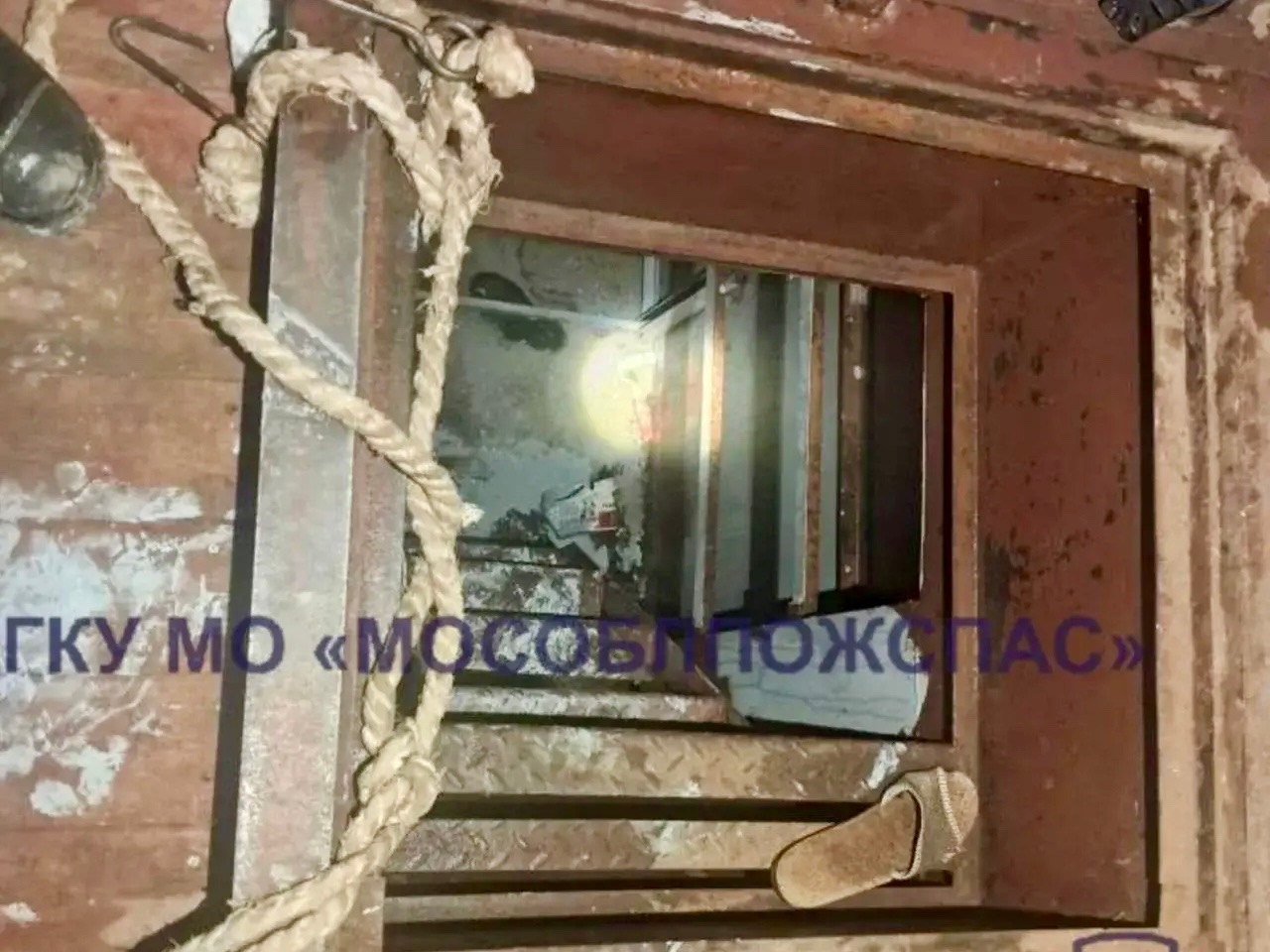 Найдена собака в Одинцове — фото объявления