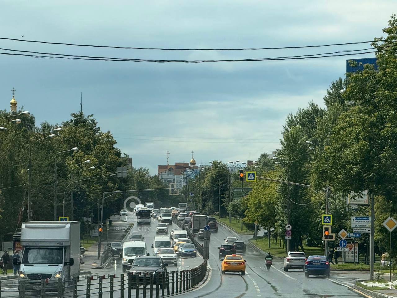 Найдена собака в Одинцове — фото объявления