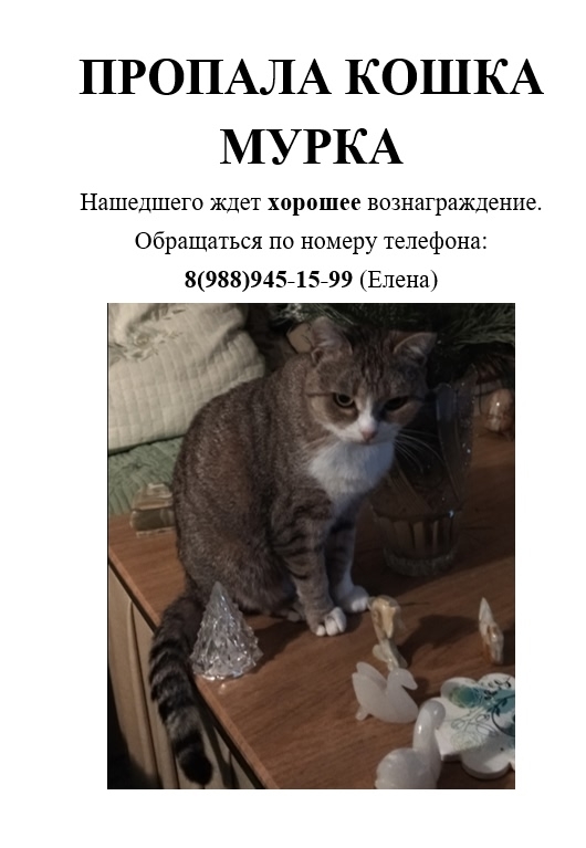 Объявление о питомце в Таганроге — фото объявления