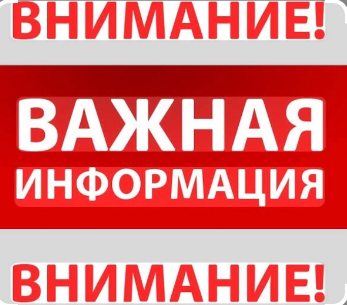 Найденная собака в Коломне Найдена собака в Коломне — фото объявления