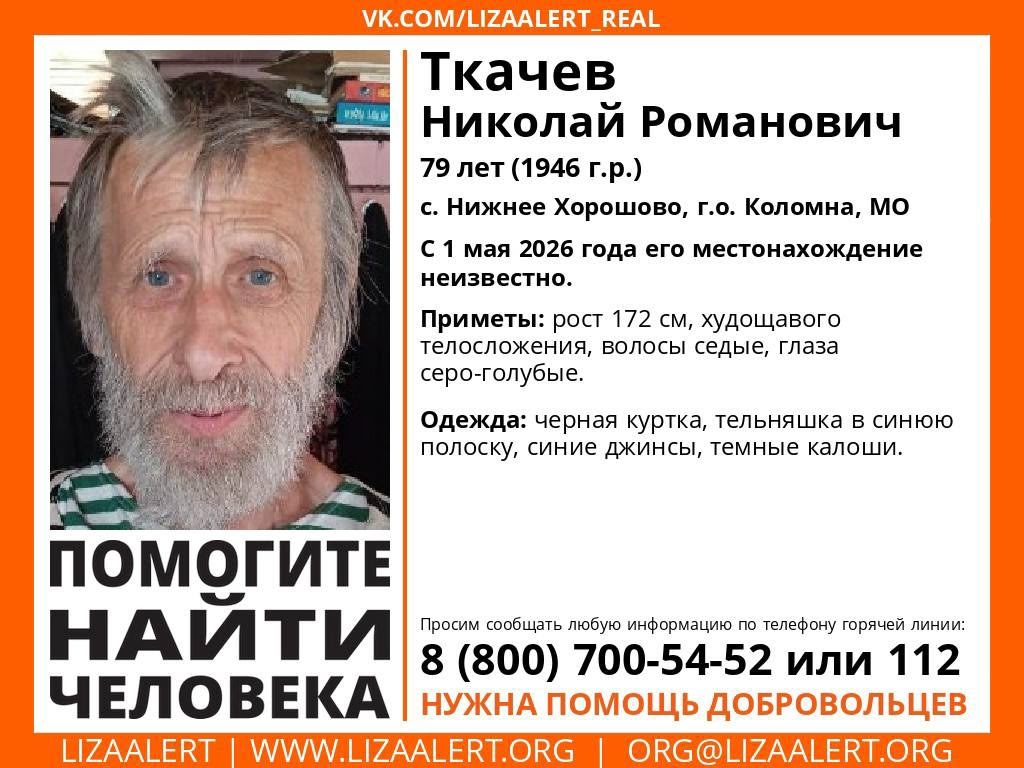 Объявление о питомце в Коломне — фото объявления