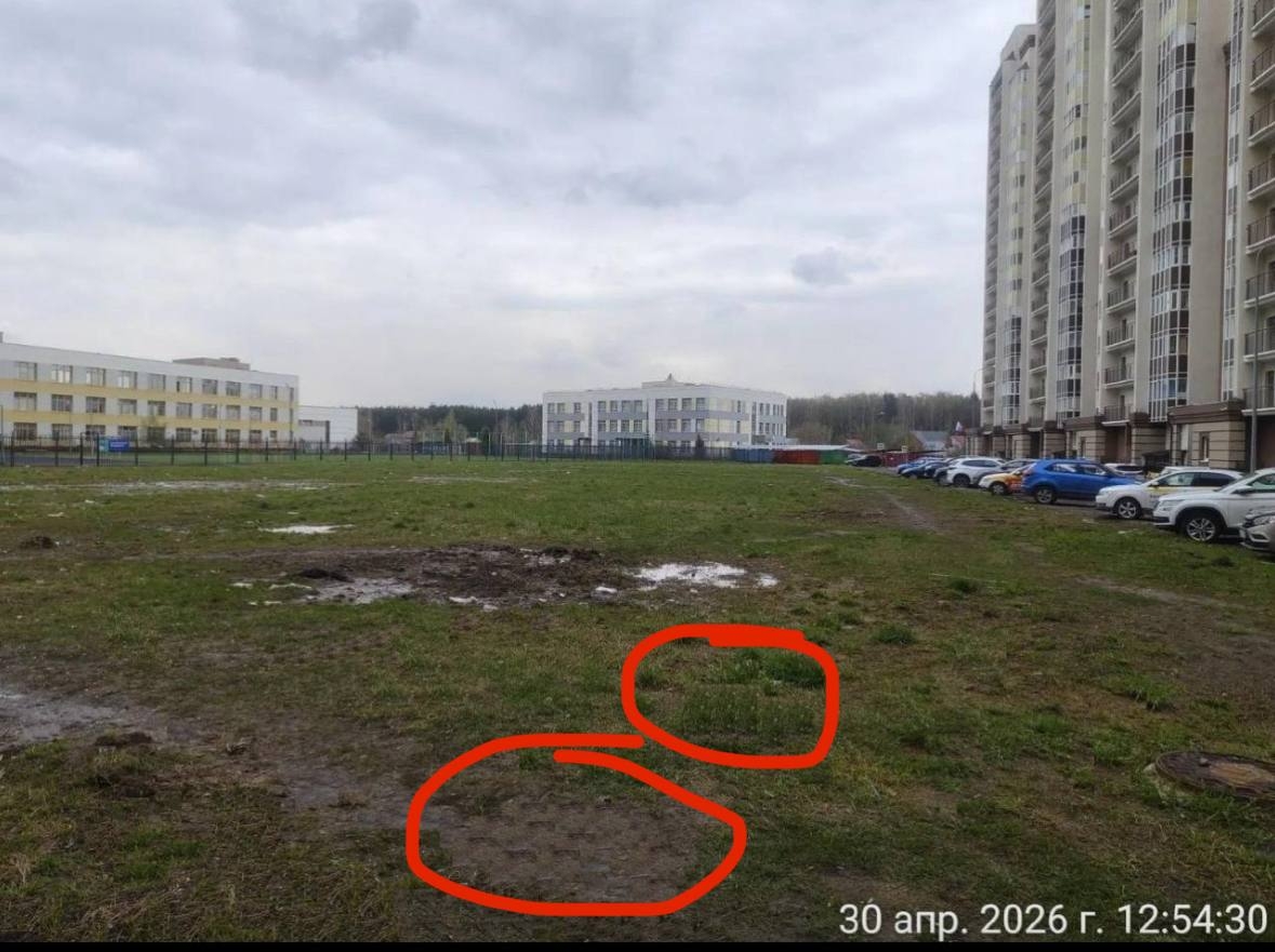 Объявление о питомце в Домодедове — фото объявления