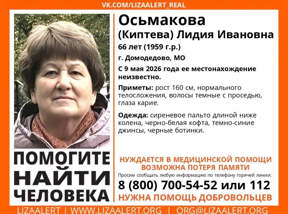 Объявление о питомце в Домодедове — фото объявления