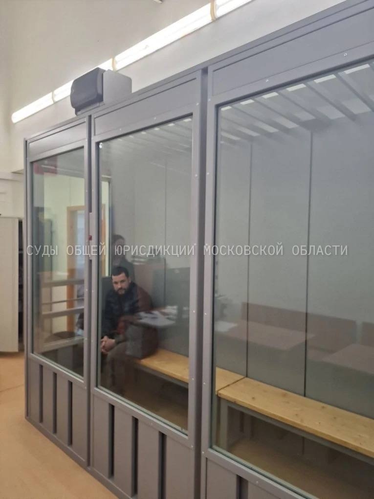 Объявление о питомце в Домодедове — фото объявления