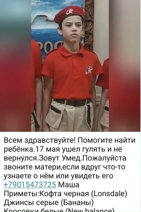 Объявление о питомце в Домодедове — фото объявления