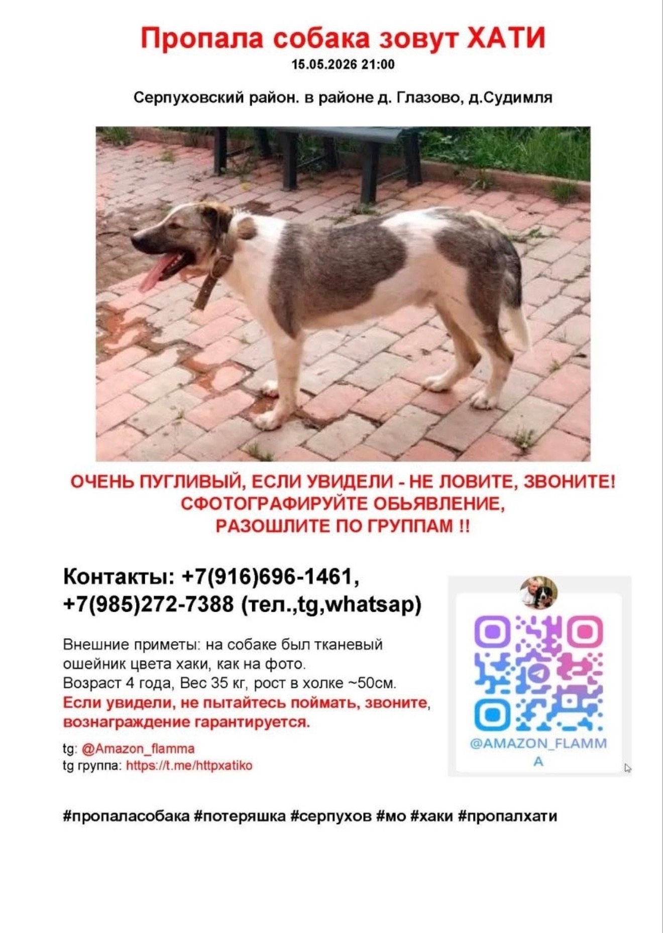 Найдена собака в Серпухове — фото объявления