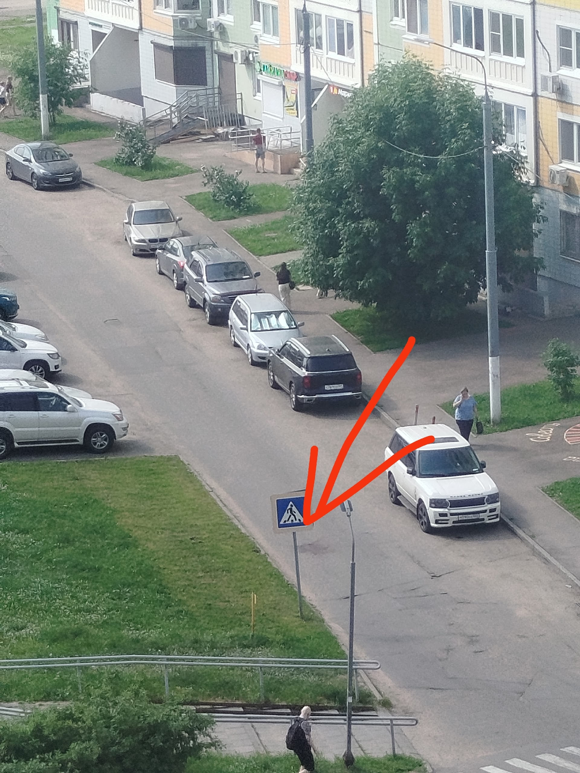 Найденная собака в Долгопрудном Найдена собака в Долгопрудном — фото объявления