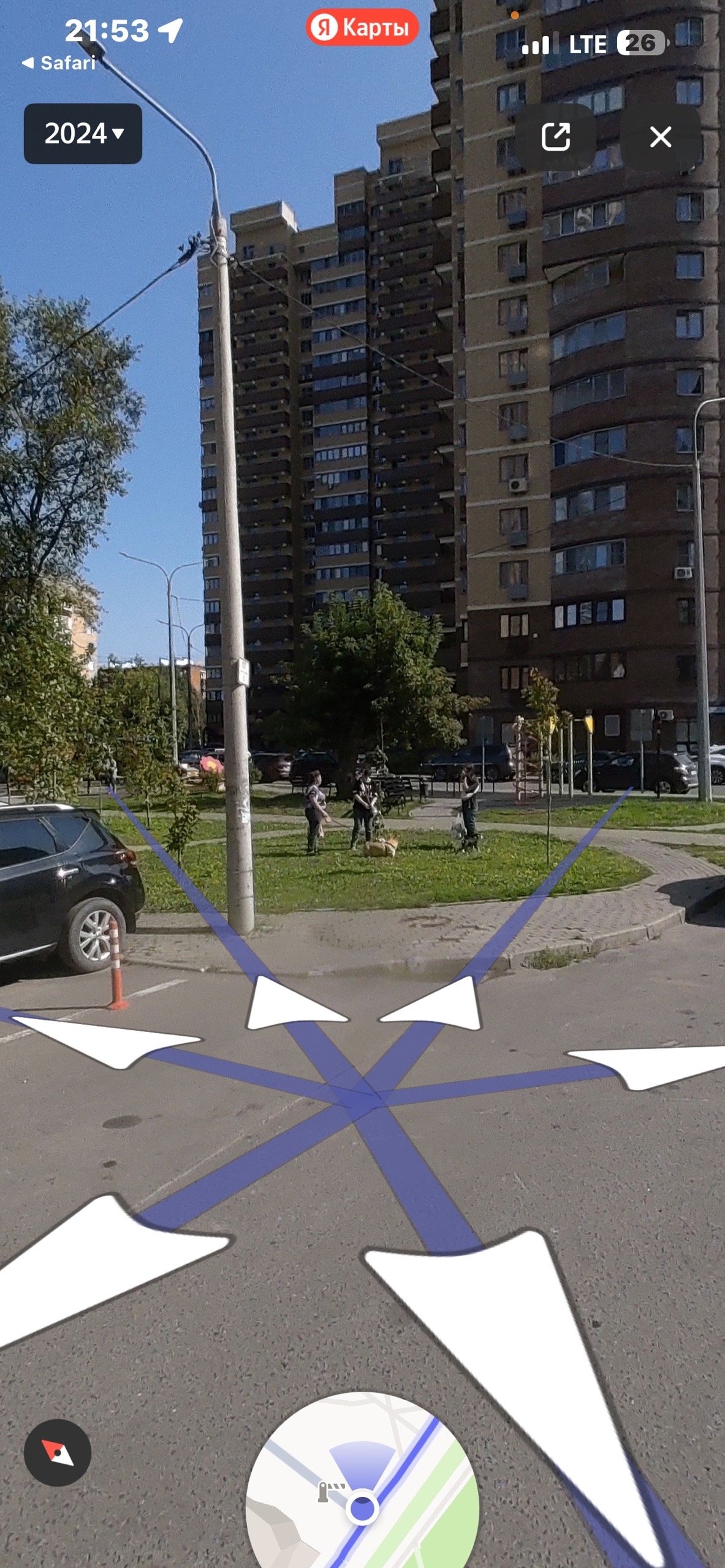 Объявление о питомце в Долгопрудном Объявление о питомце в Долгопрудном — фото объявления