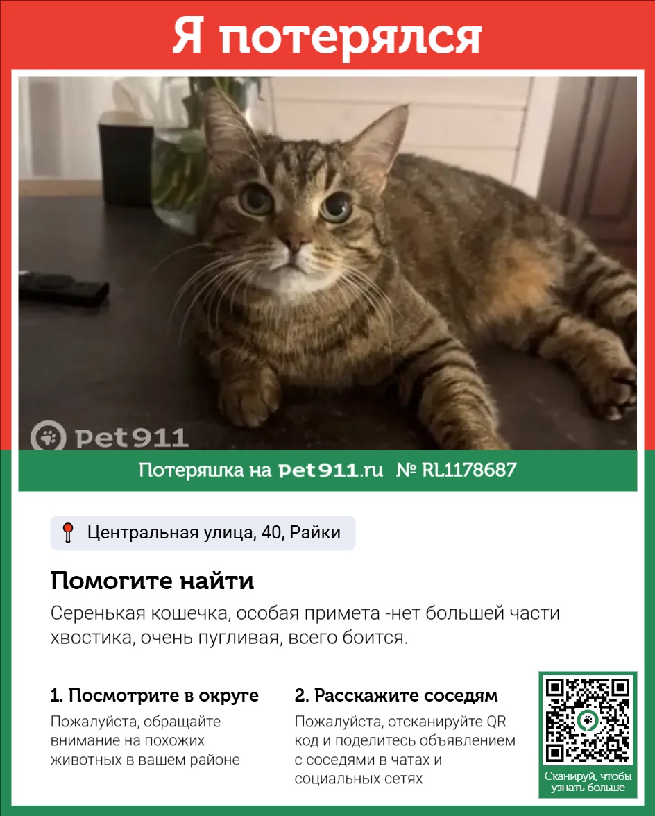 Найдена собака в Реутове — фото объявления