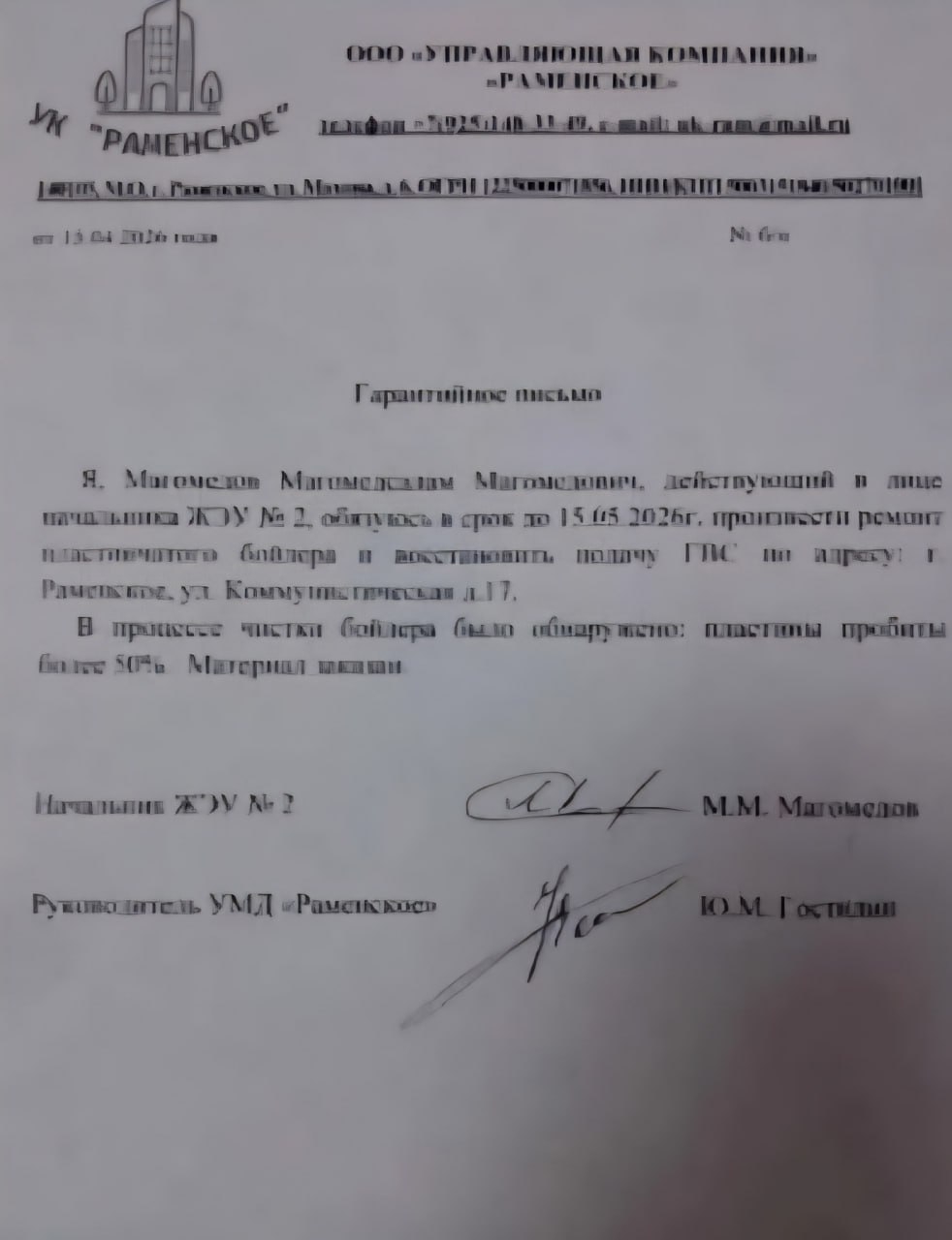 Найдена собака в Жуковском — фото объявления