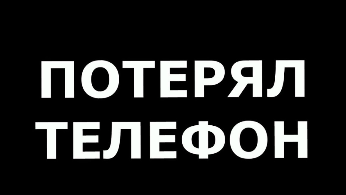 Объявление о питомце в Жуковском — фото объявления