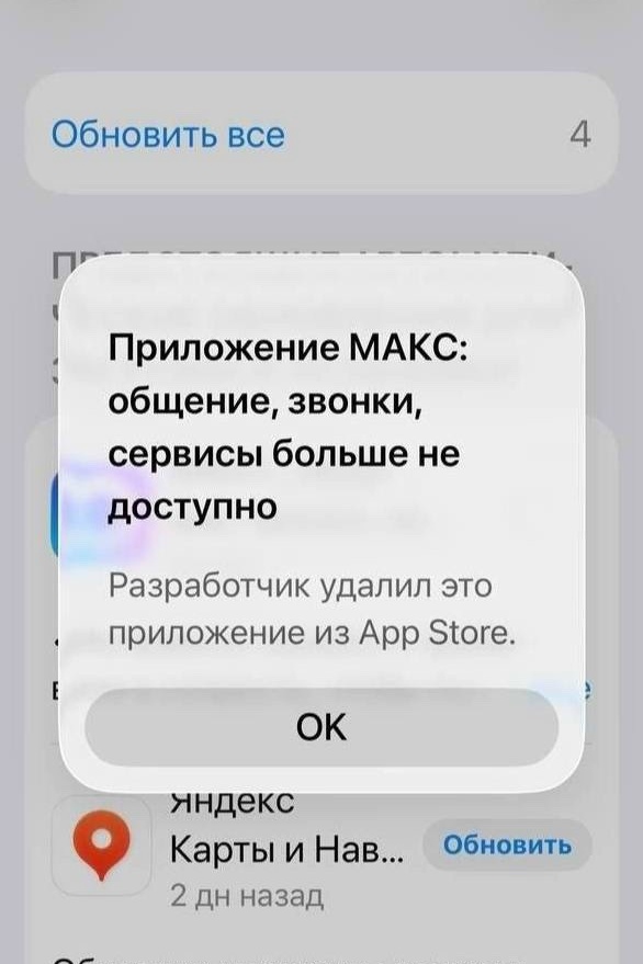 Объявление о питомце в Жуковском Объявление о питомце в Жуковском — фото объявления