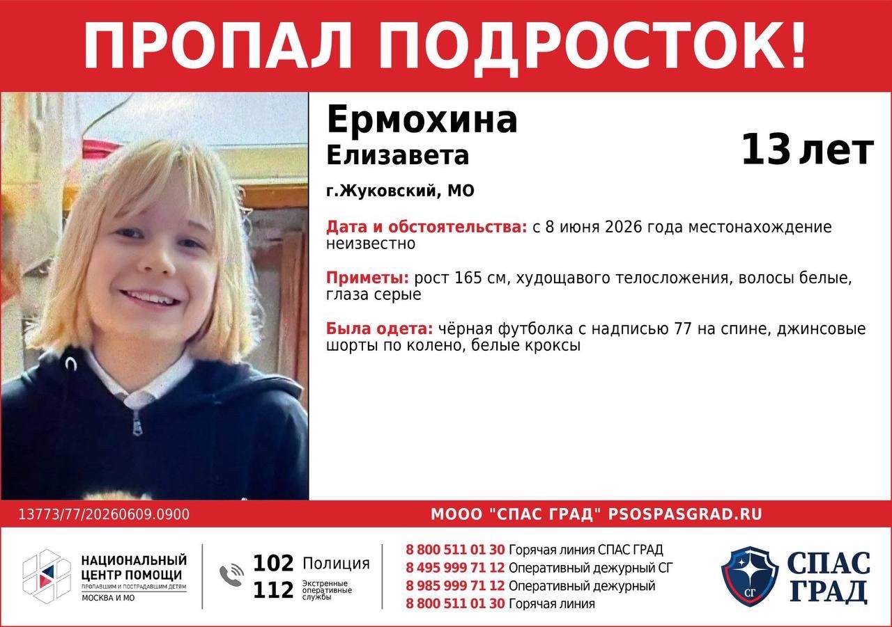 Объявление о питомце в Жуковском — фото объявления