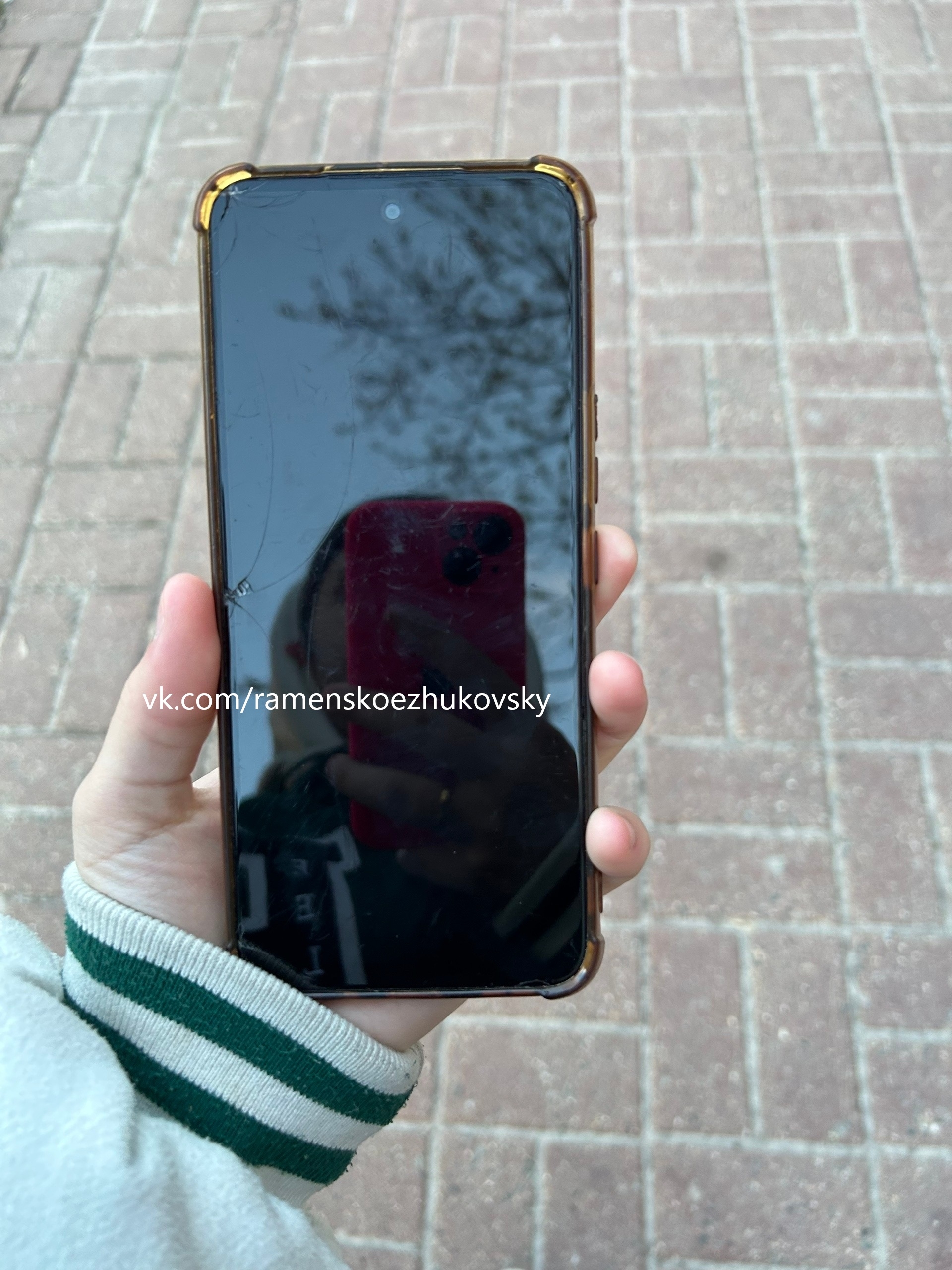 Найдена собака в Жуковском — фото объявления