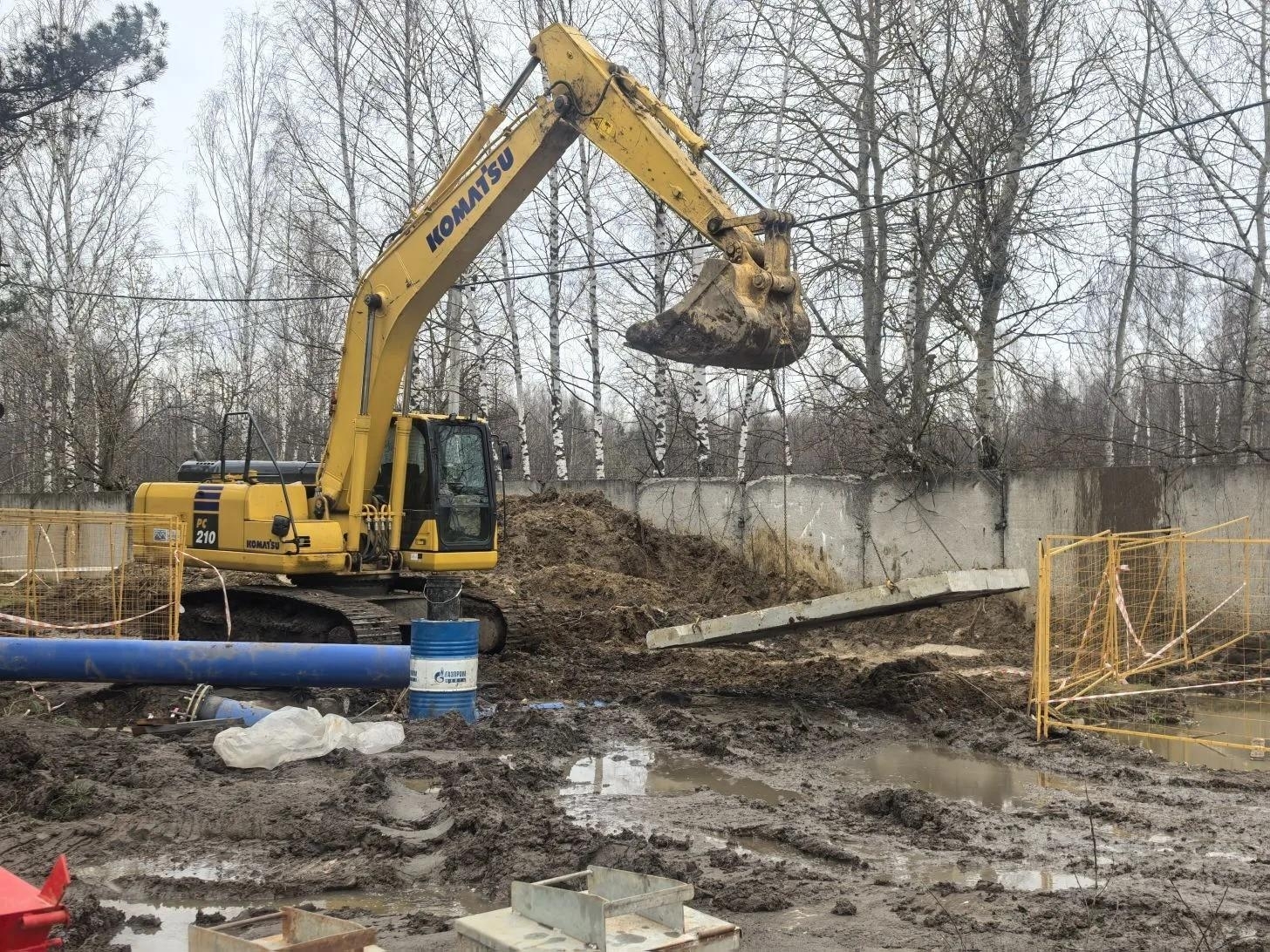 Объявление о питомце в Ногинске — фото объявления