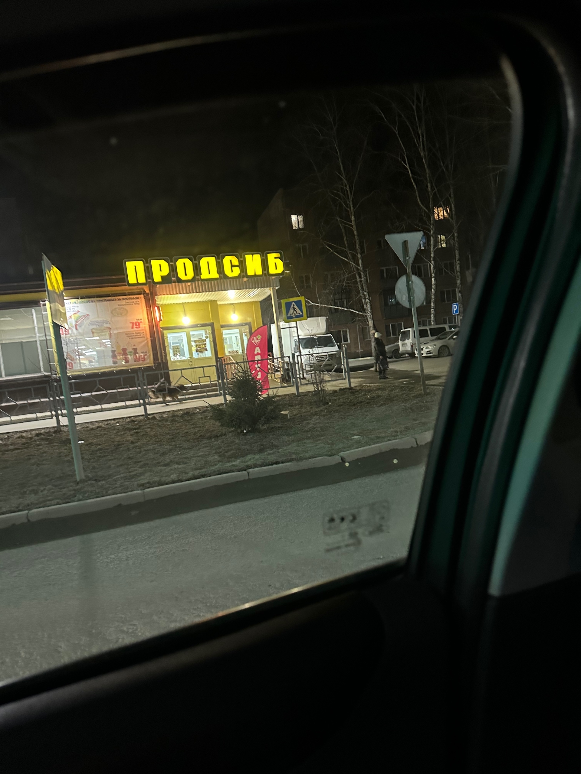 Бежит пёсик на семи ветрах с ошейником , похожий помесь с овчаркой