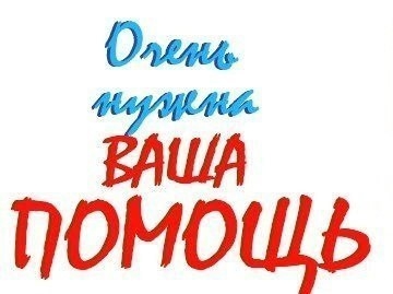 Объявление о питомце в Бердске — фото объявления