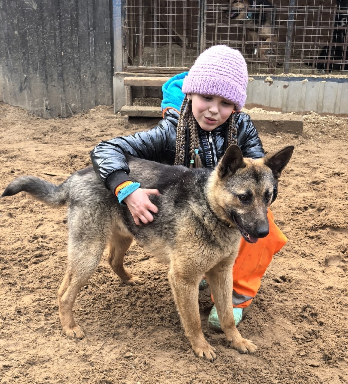 Пропала собака в Обнинске — фото объявления