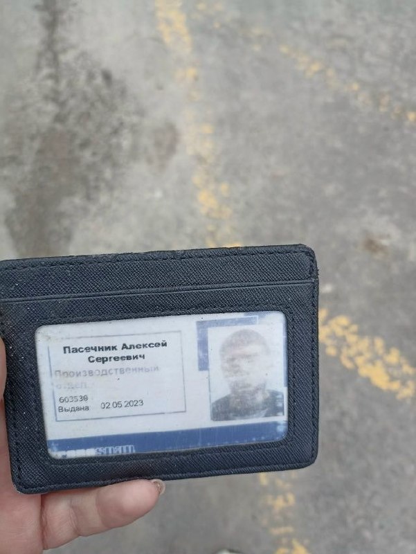 Объявление о питомце в Егорьевске — фото объявления